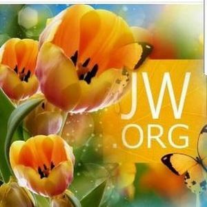 Meet your Posher, Tamara